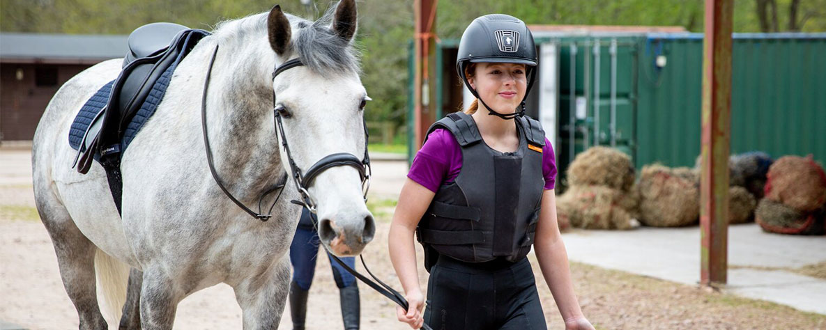 Clipping Horses