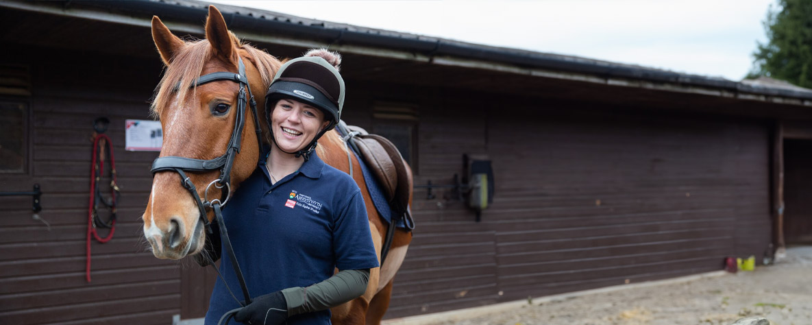 BSc (Hons) Top Up - Equine