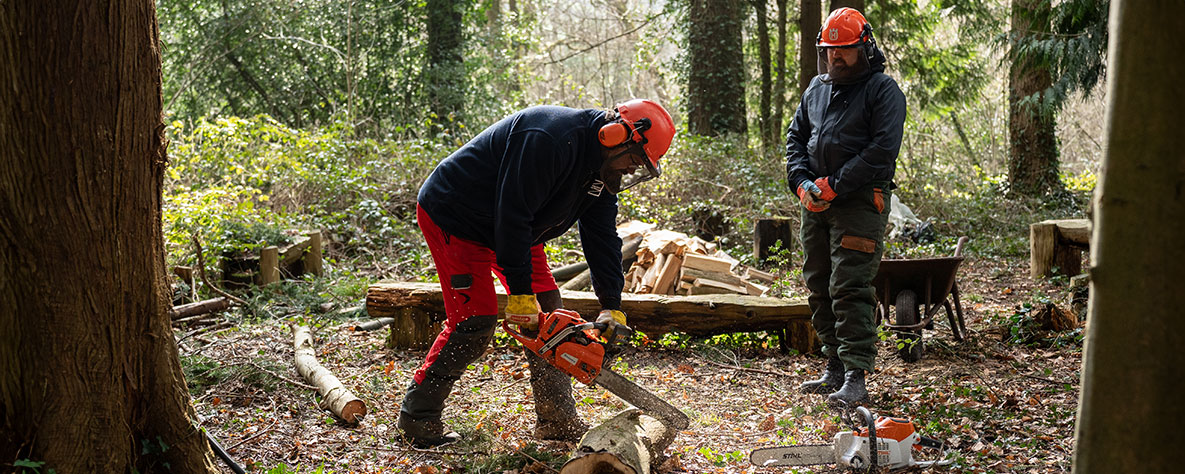 City & Guilds  Certificate in Felling and Processing Small Trees Level 2