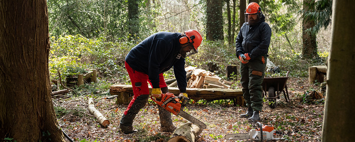 City and Guilds Certificate in Felling and Processing Small Trees  Level 2