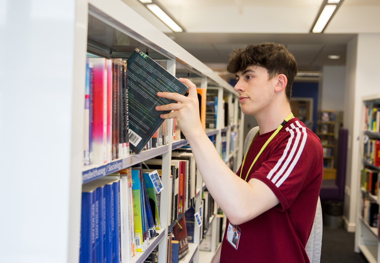 male choosing a book in the library