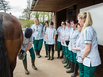 Vet nurse learners with a horse