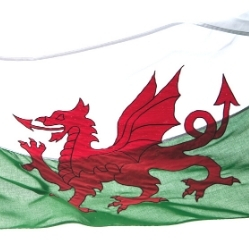 Welsh Language Week - Welsh flag