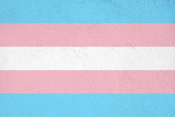 Page Thumbnail Trans Day of Visibility