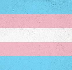 Trans Day of Visibility