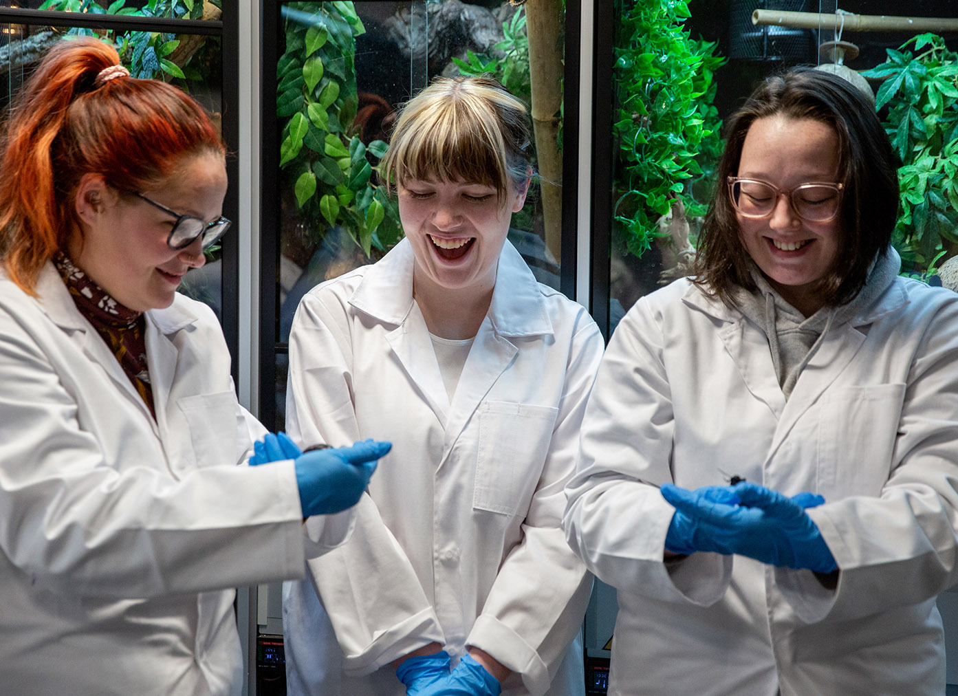 Students with reptiles in small animal centre