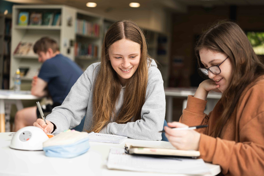 Students studying at Usk library