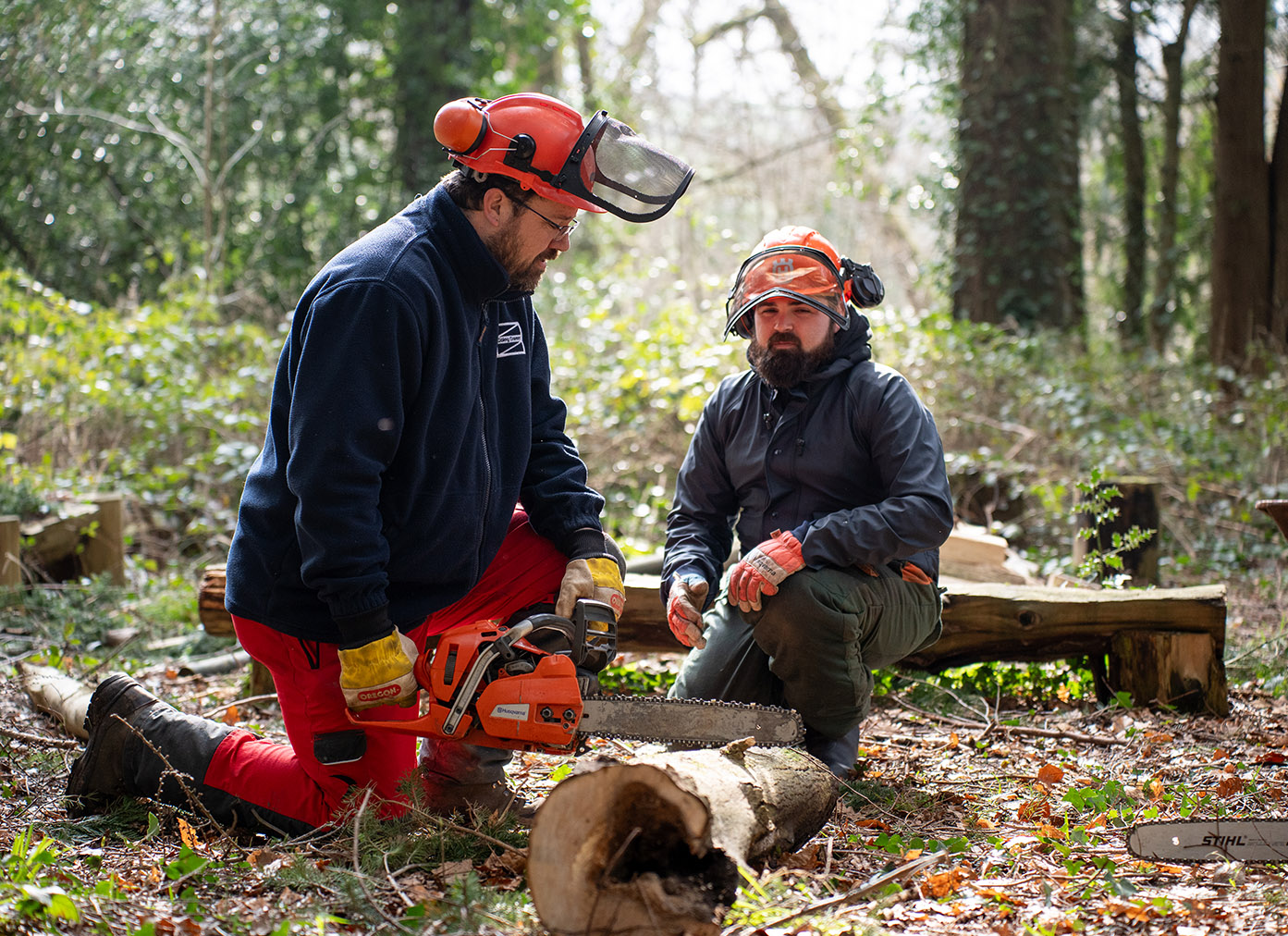Tutor in Forest teaching