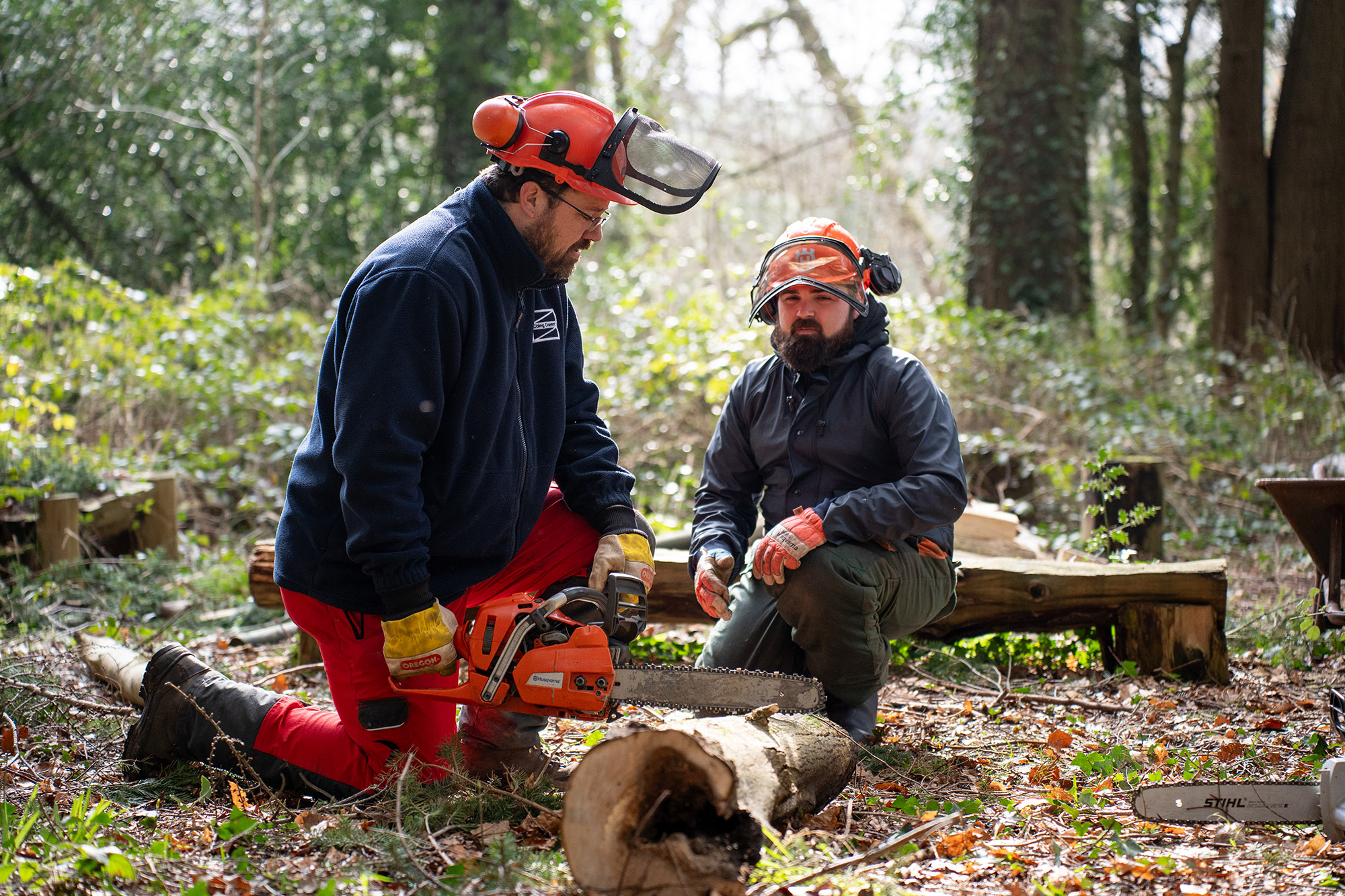 Tutor in Forest teaching
