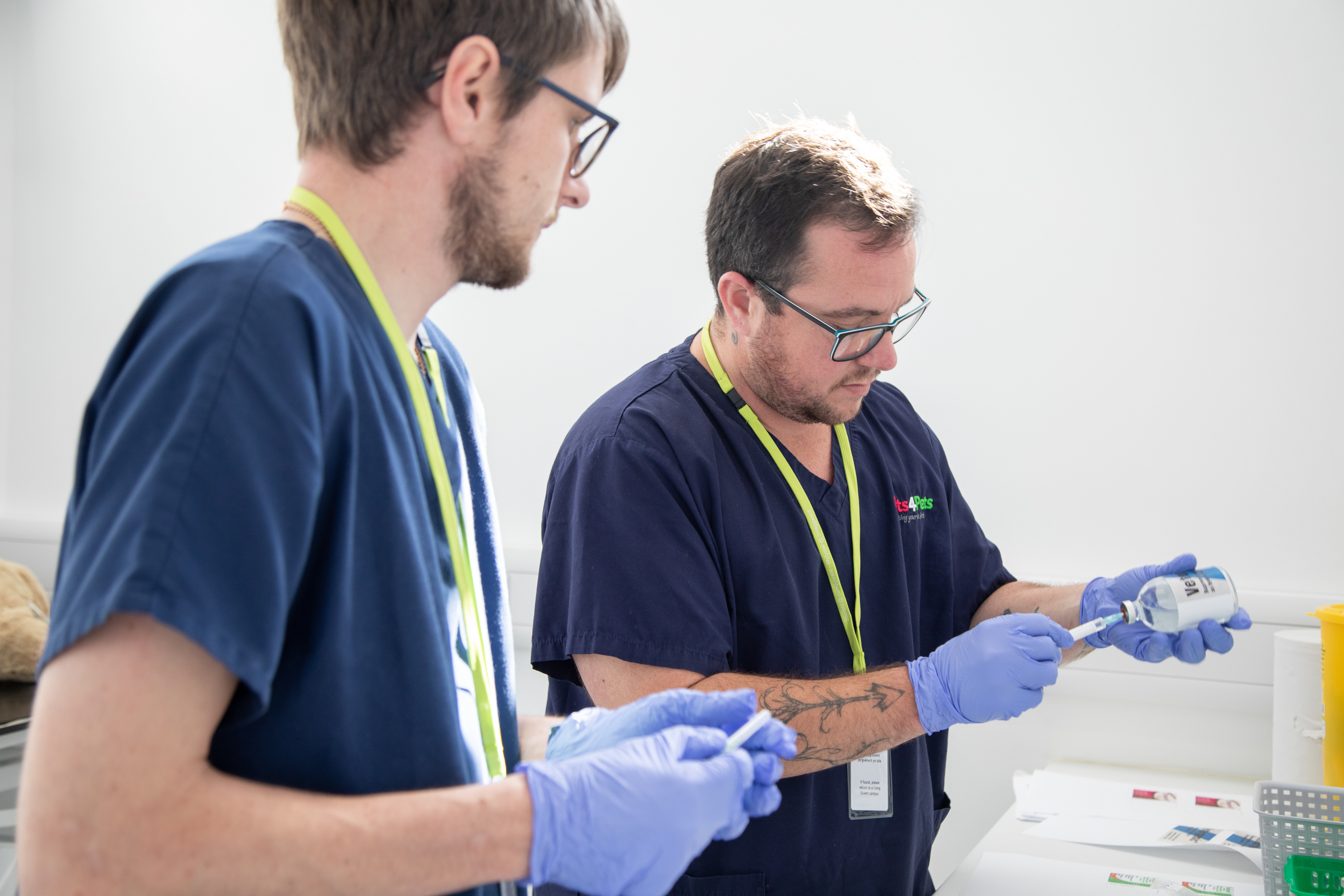 Vet nurses with needle