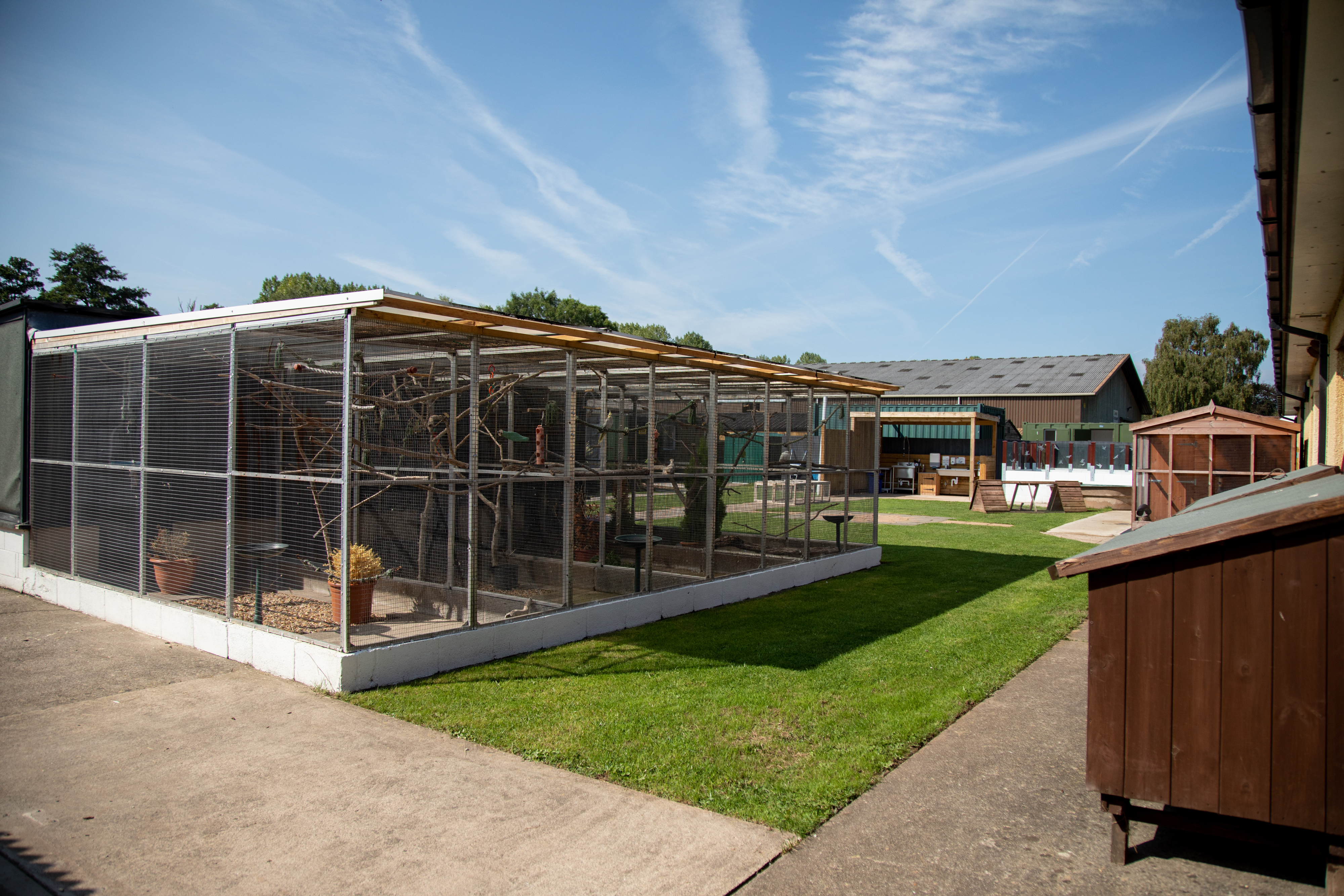 Animal care outdoors