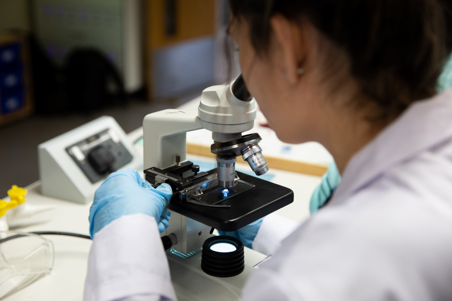 Looking at periscope