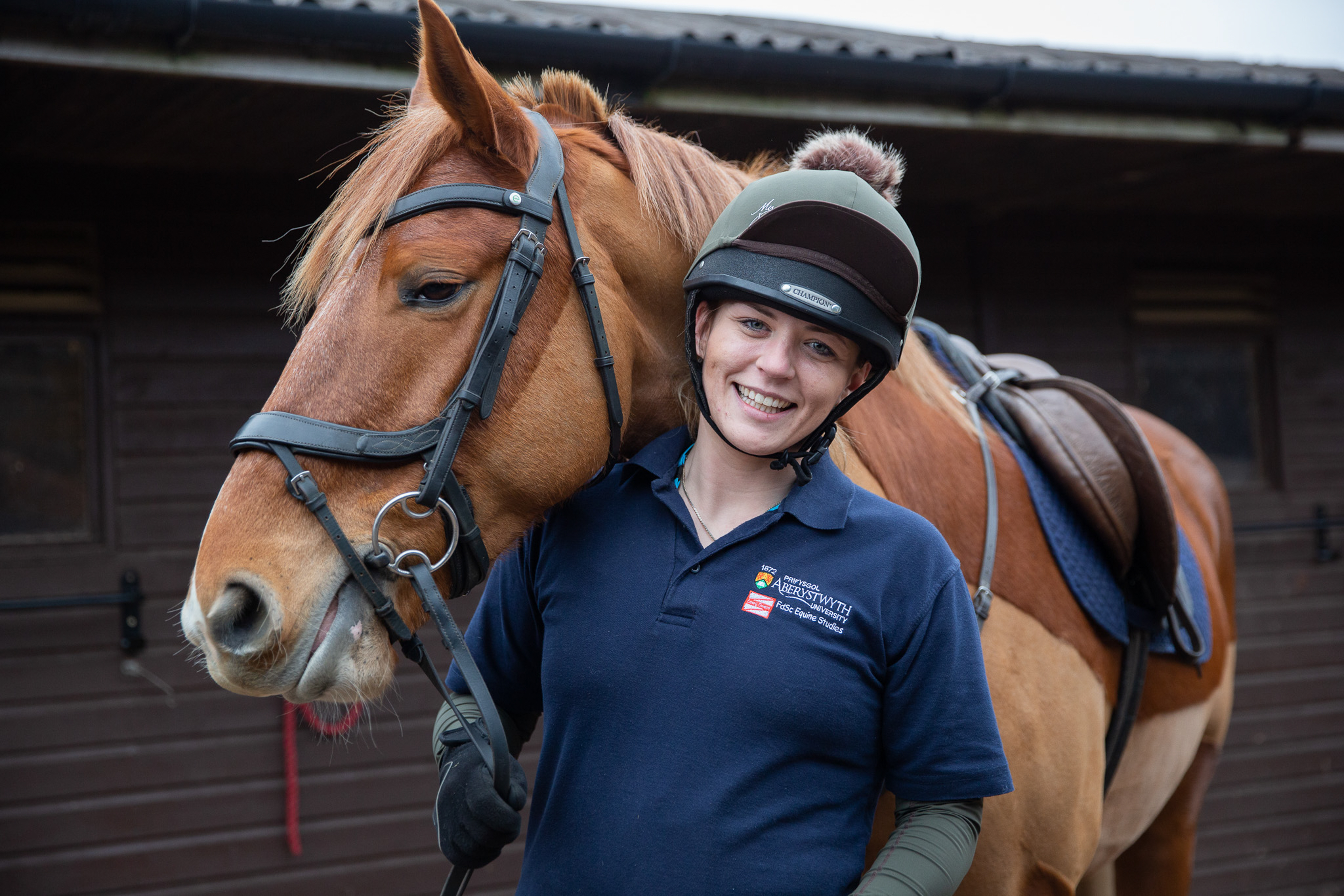 Equine student with real horse