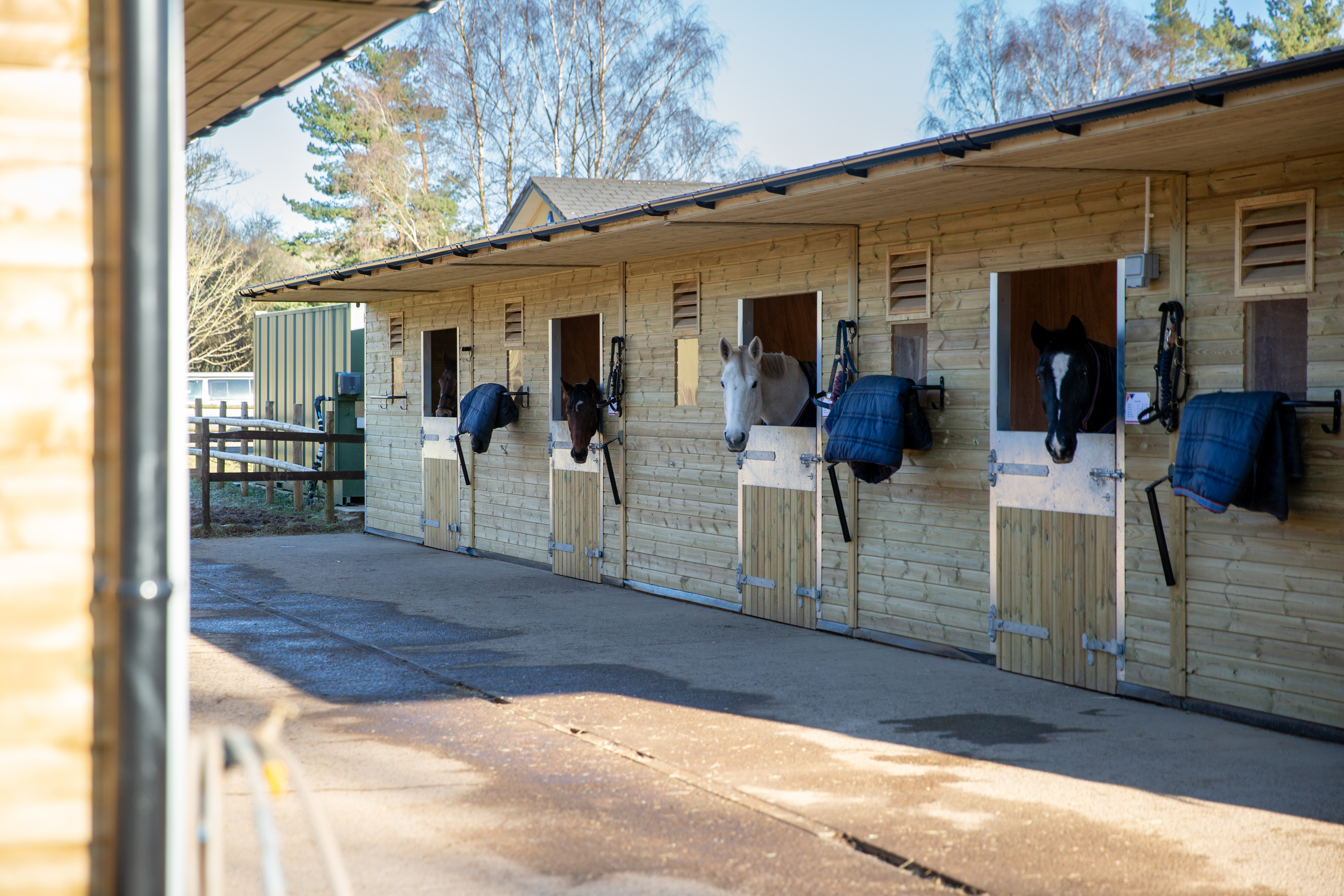 Equine stables