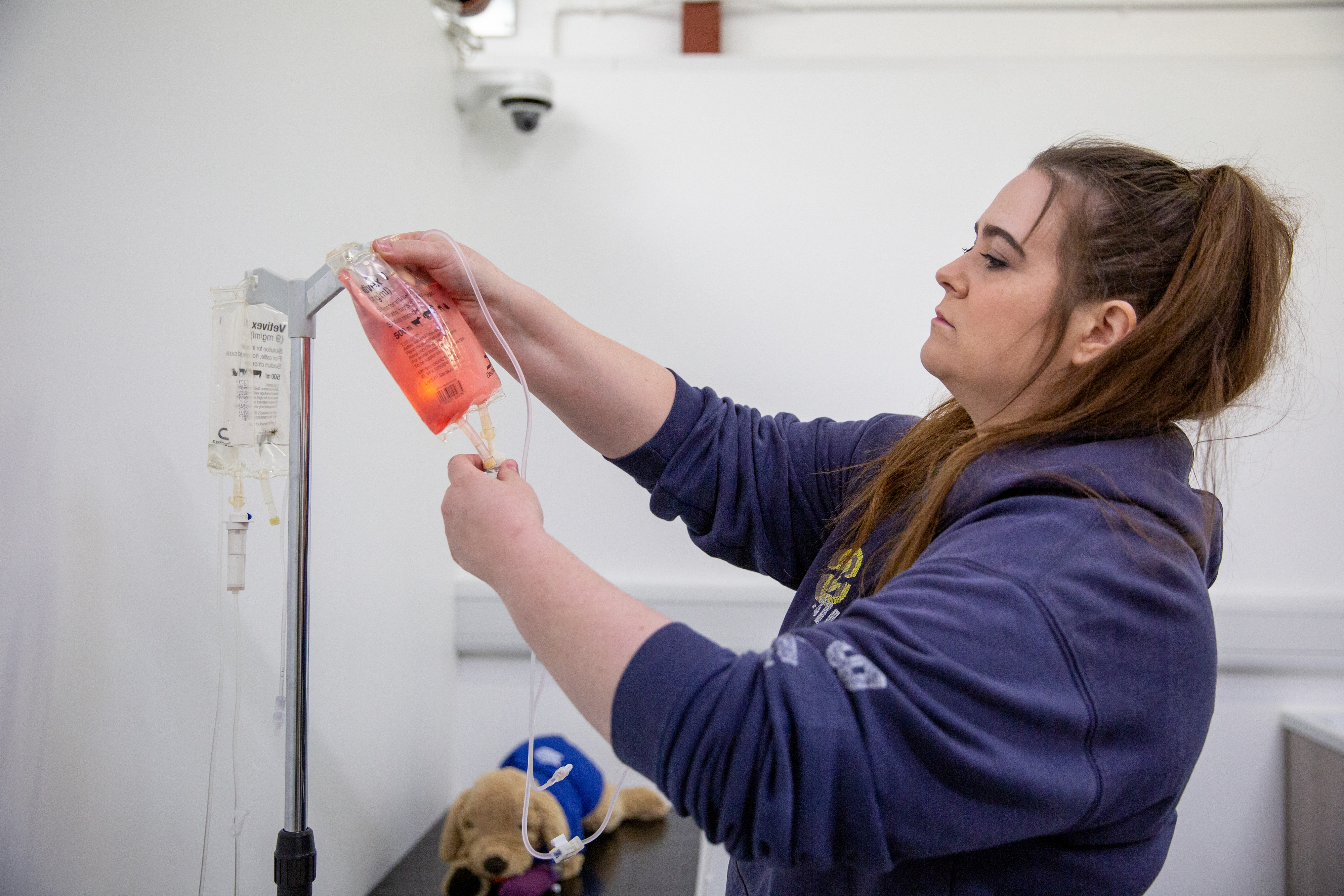 Vet Nursing student working