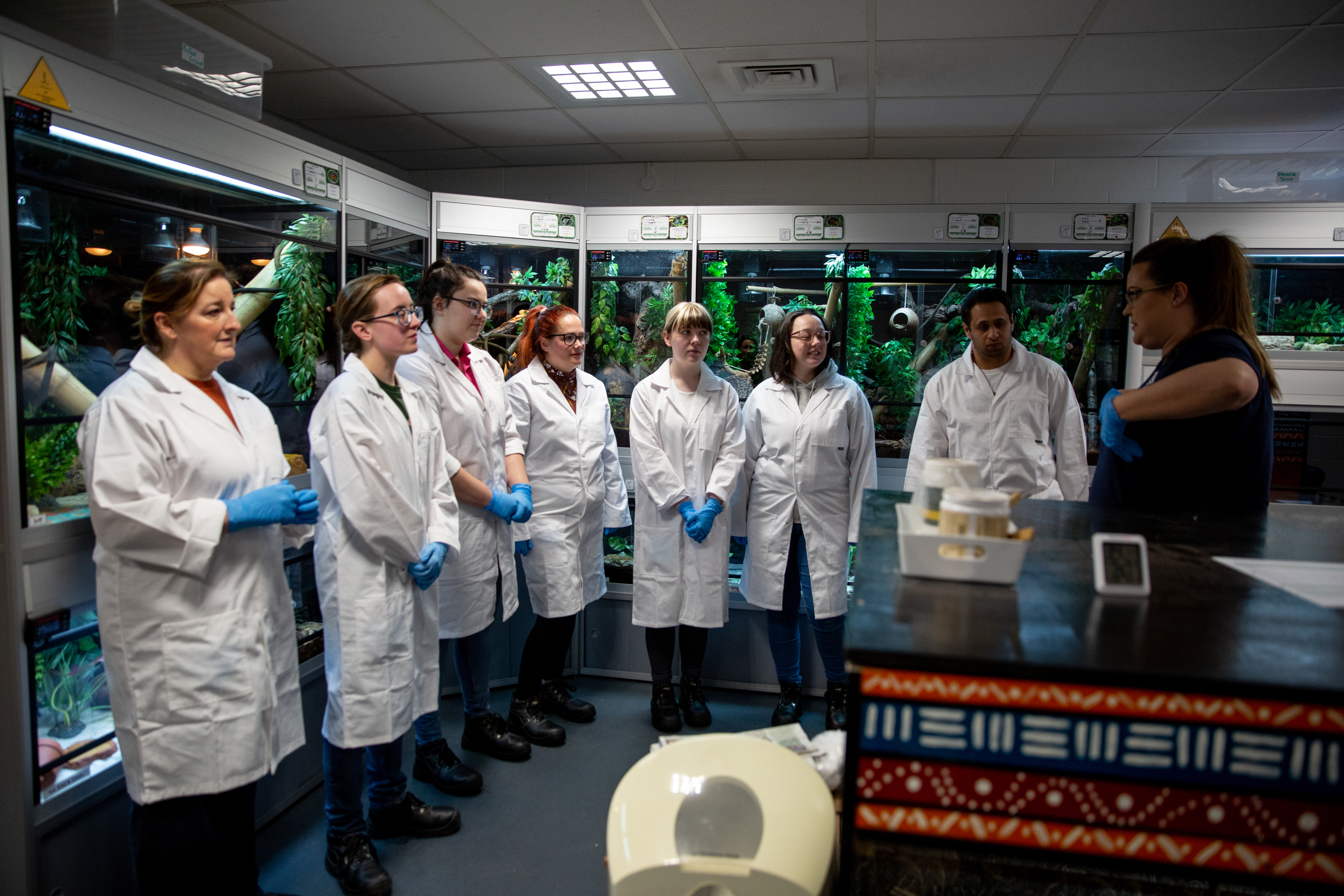 Animal Care students in reptile room