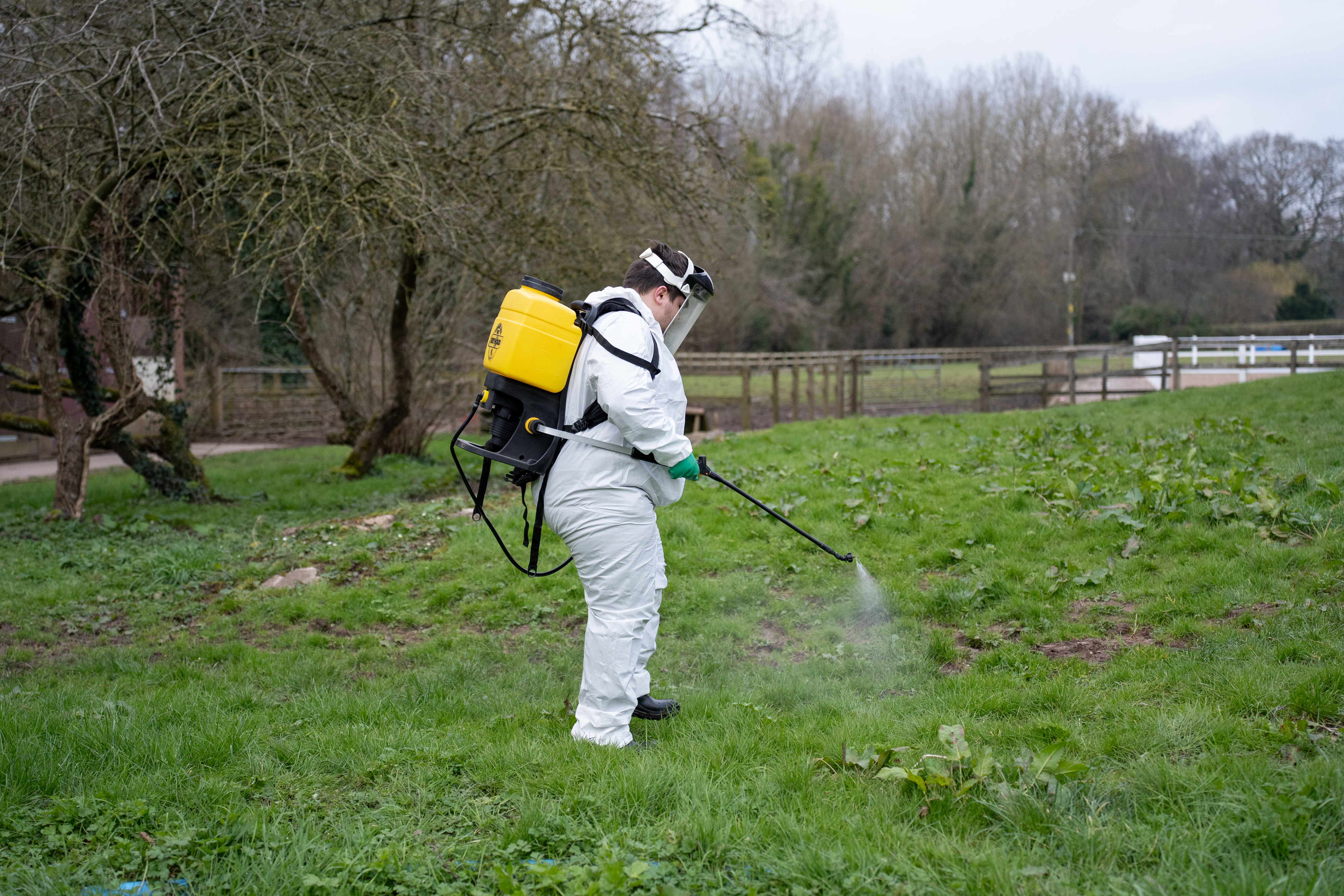 Land-based studies student spraying pesticide