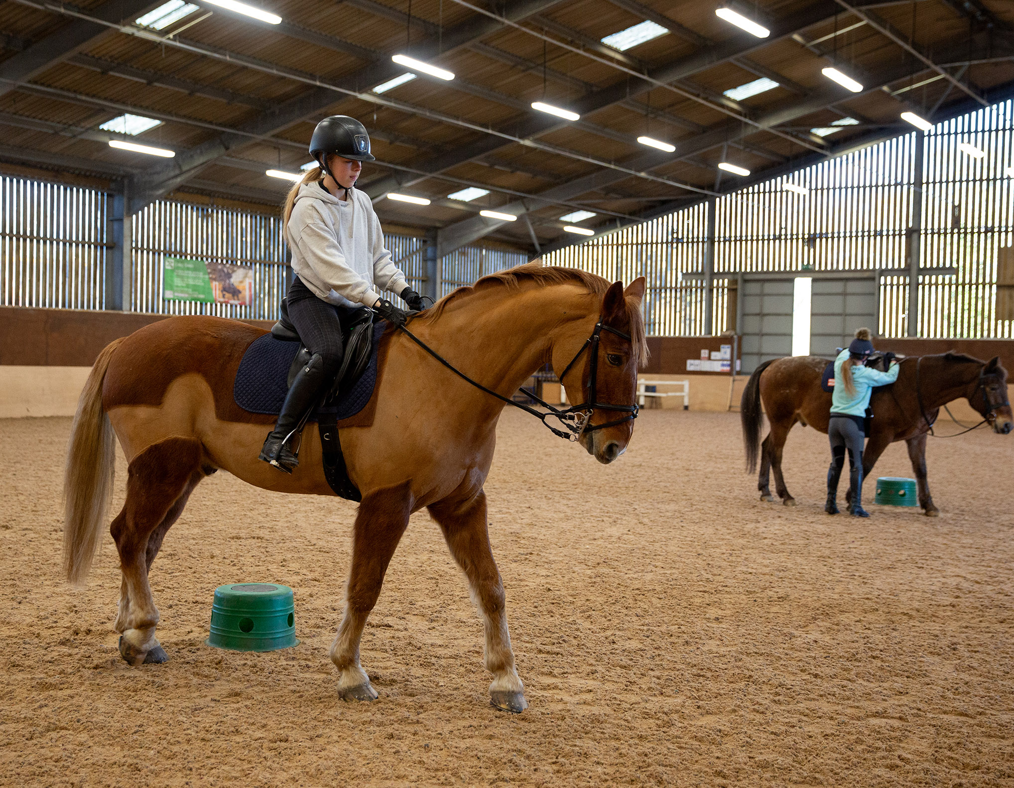 Horse and rider in indoor arena