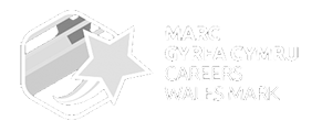 Marc Gyrfa Cymru